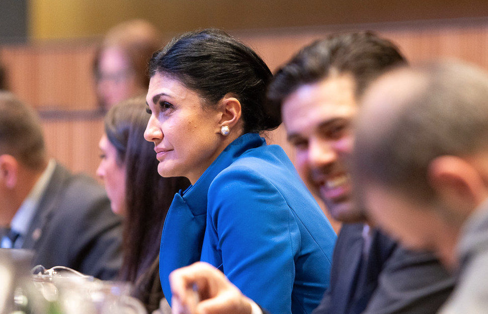 La Veu Lliure Andorra Sergi Pérez Consell General