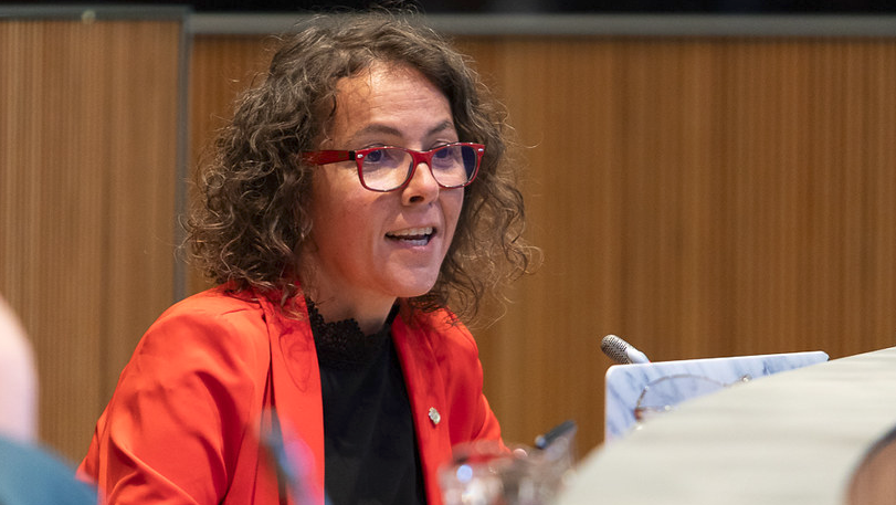 La presidenta del grup parlamentari socialdemòcrata, Judith Casal