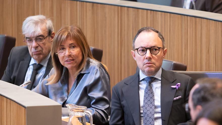 Sergi Pérez | Consell General