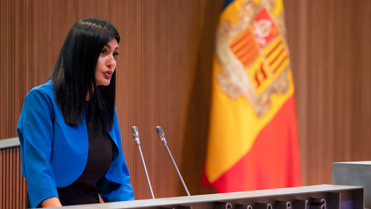 Sergi Pérez | Consell General