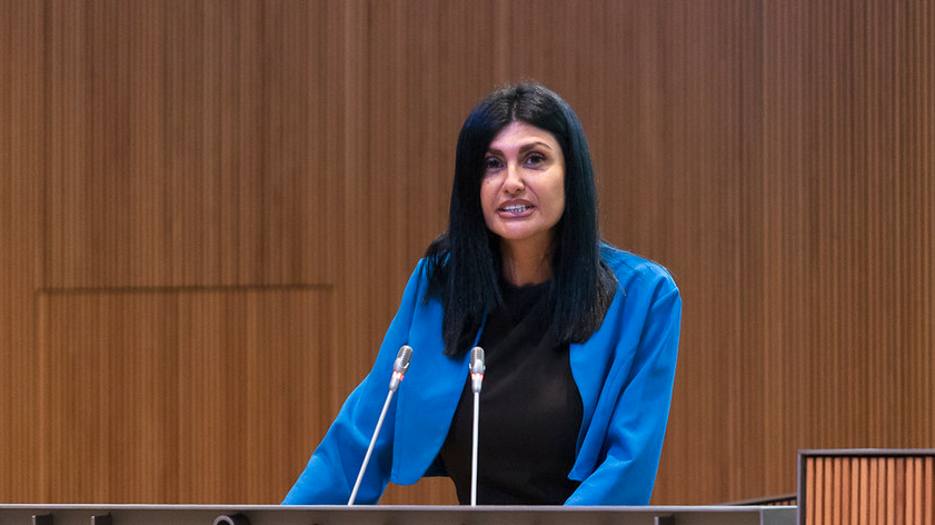 Sergi Pérez | Consell General