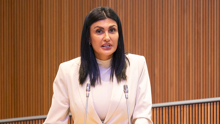 Sergi Pérez | Consell General