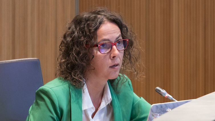 Sergi Pérez | Consell General