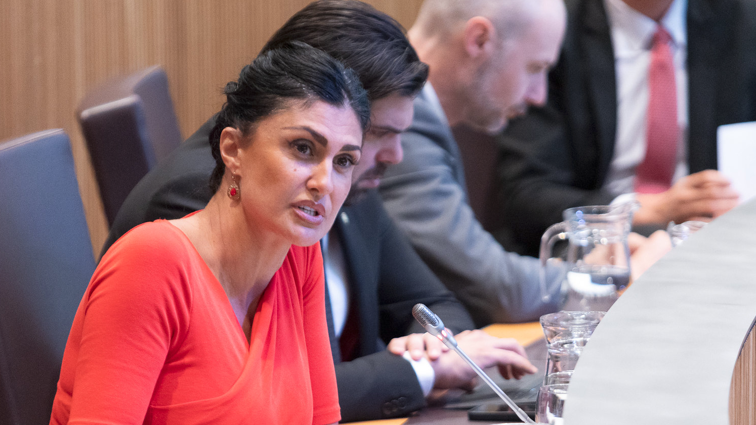 Sergi Pérez | Consell General