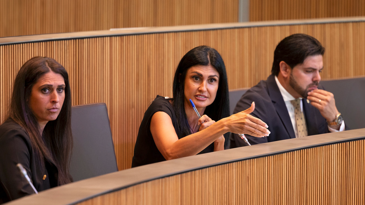 Andorra Endavant/Calsinaimages