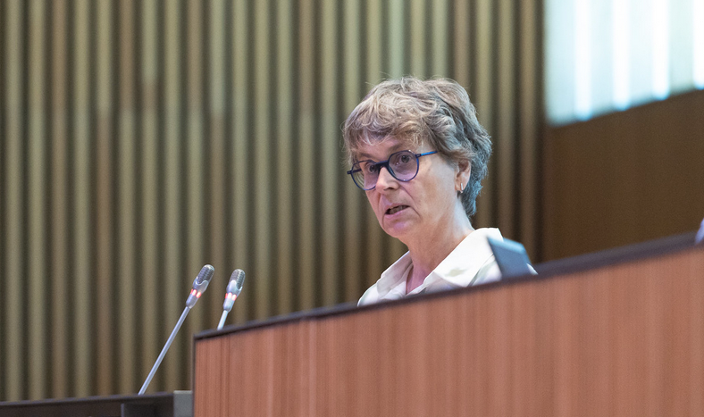 Sergi Pérez | Consell General