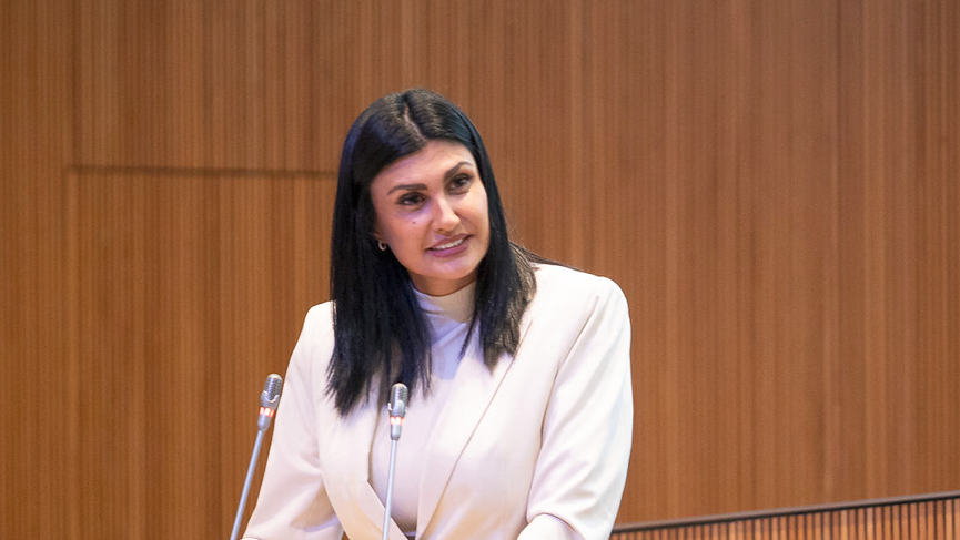 Sergi Pérez | Consell General-La Veu Lliure