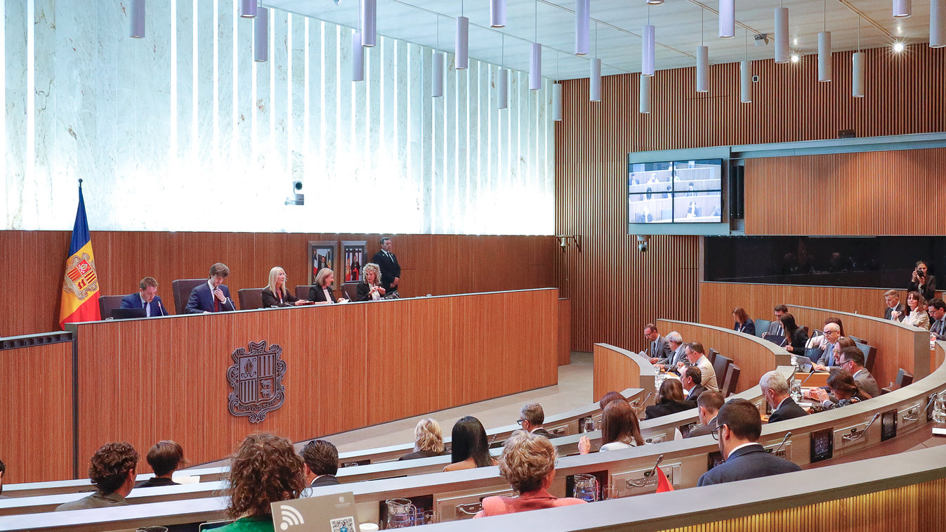 Sergi Pérez | Consell General