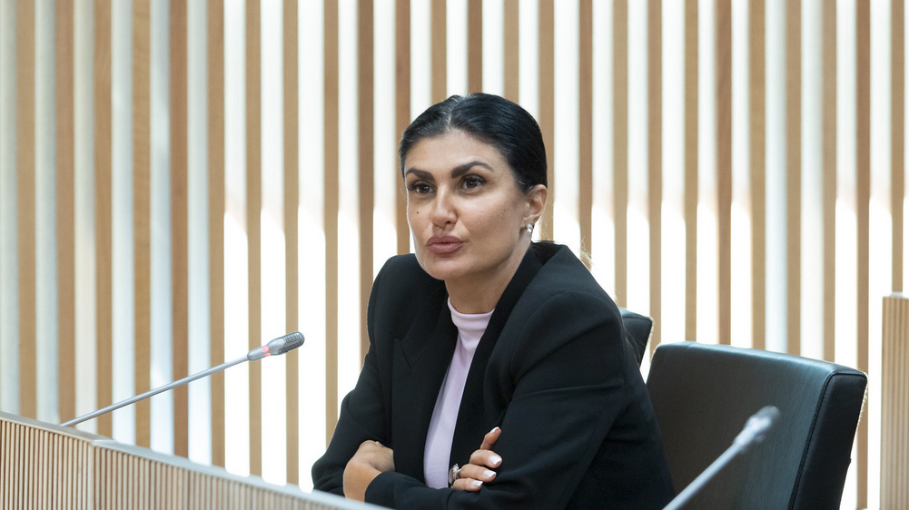 Sergi Pérez | Consell General