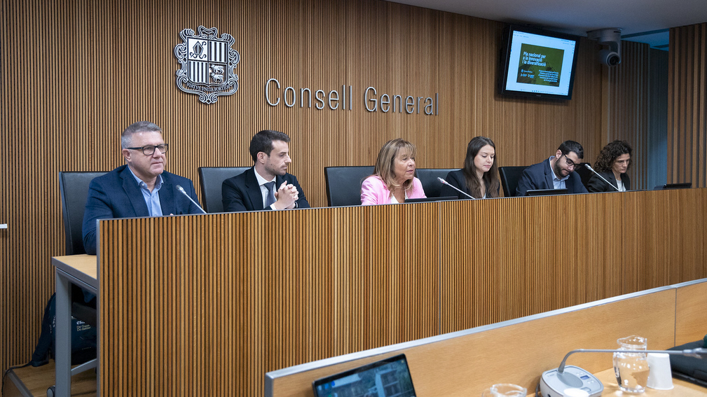 Sergi Pérez | Consell General