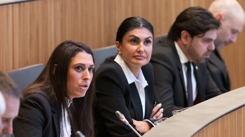  Sergi Pérez | Consell General