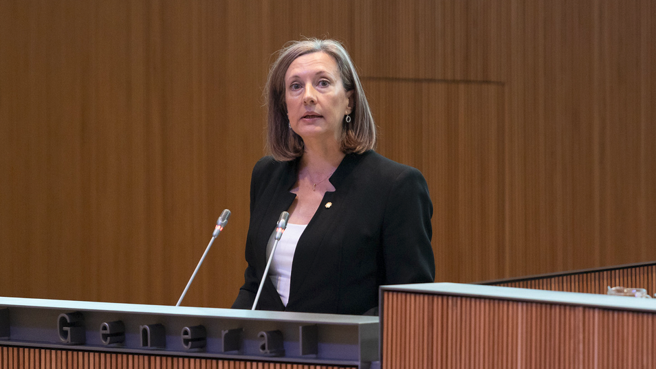 Sergi Pérez | Consell General