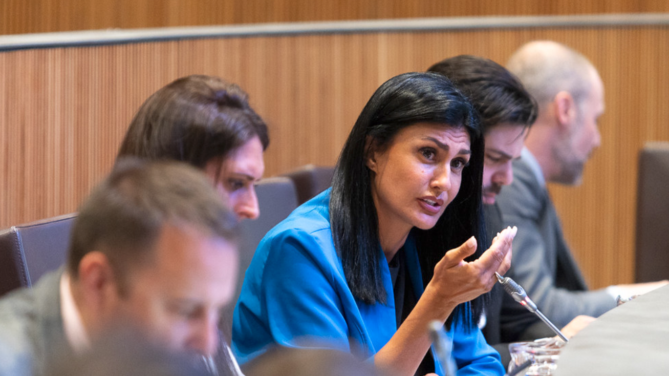 Sergi Pérez | Consell General