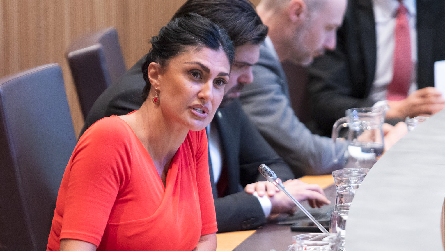 Carine Montaner (Andorra Endavant) | Sergi Pérez : Consell General