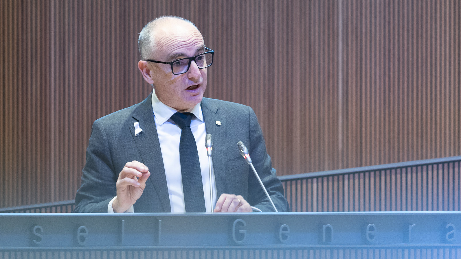 Consell General | Sergi Pérez