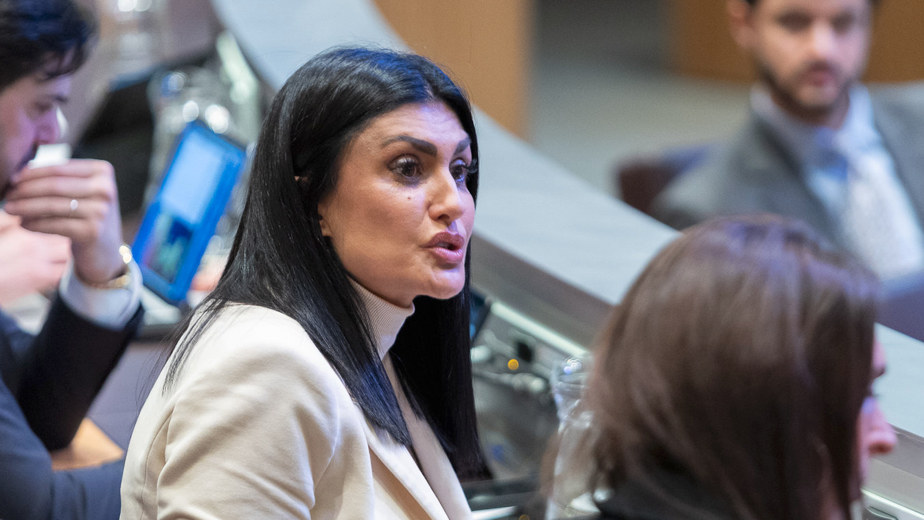 Consell General | Sergi Pérez