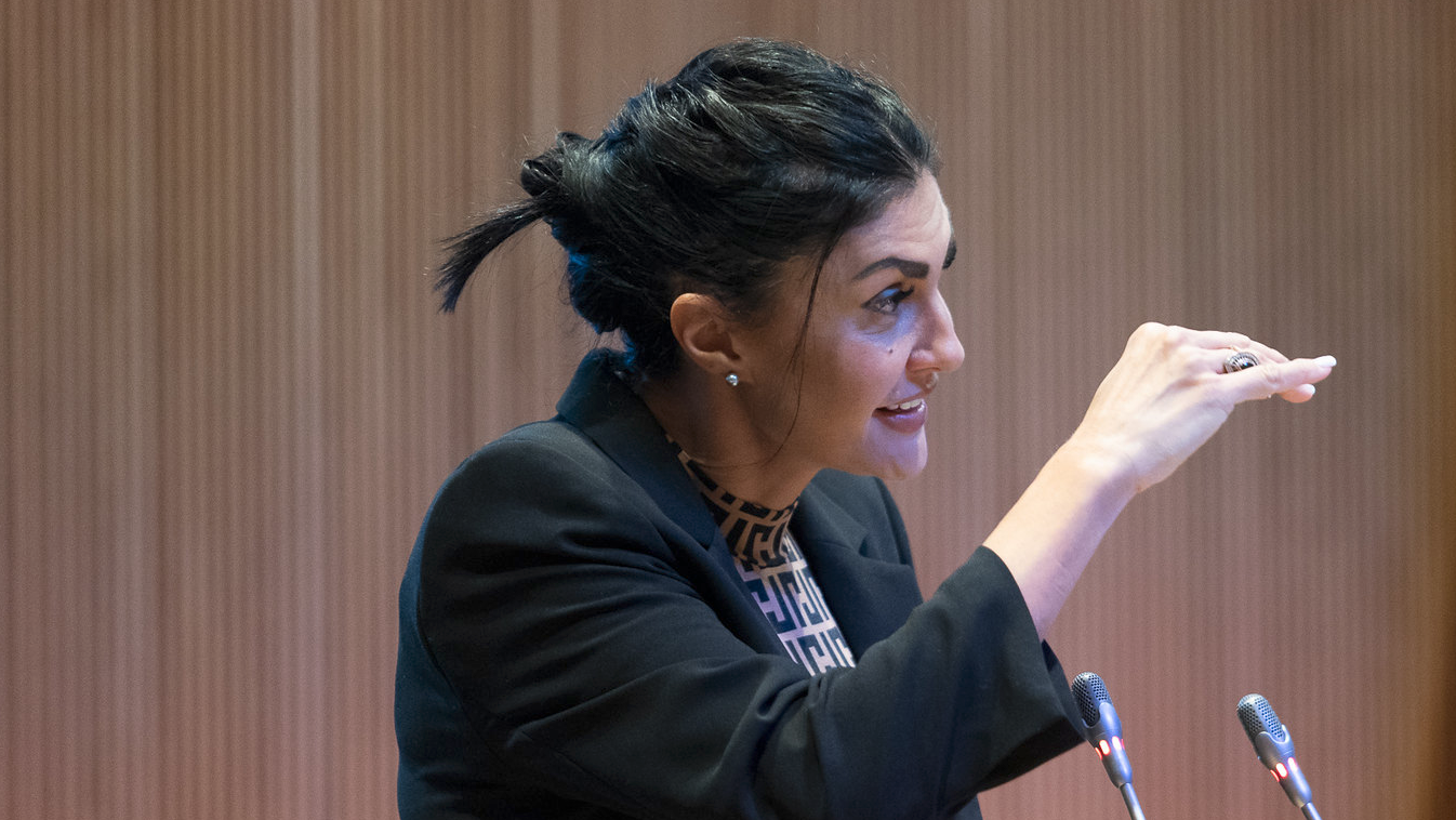 Consell General | Sergi Pérez