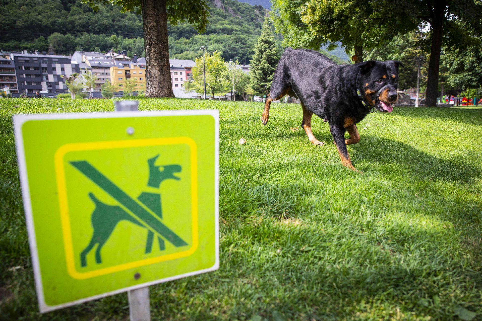 Comú d'Andorra la Vella / Tony Lara