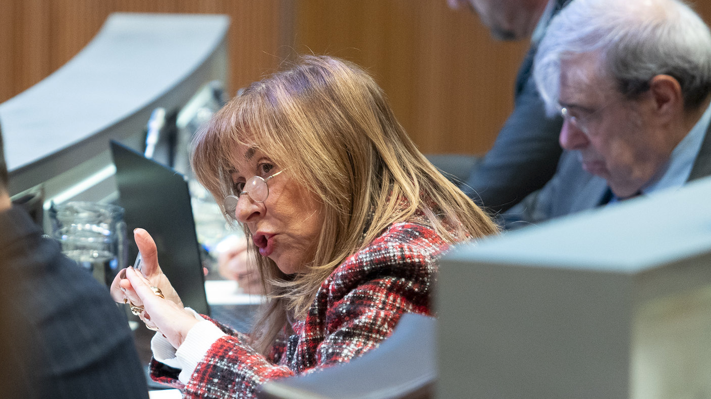 Consell General | Sergi Pérez