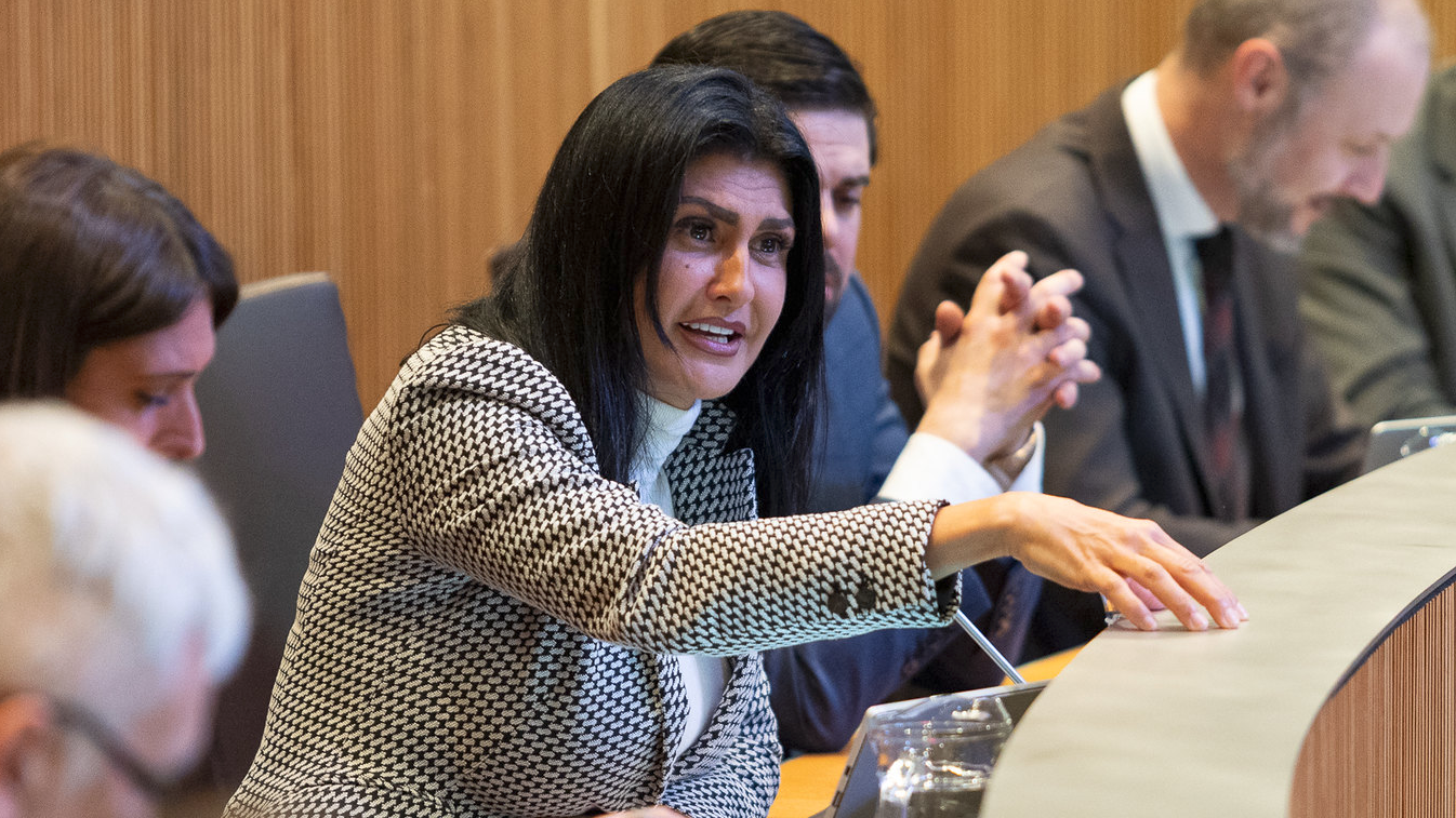 Consell General | Sergi Pérez