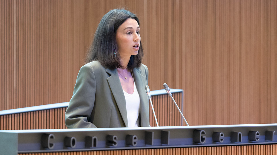 Consell General | Sergi Pérez