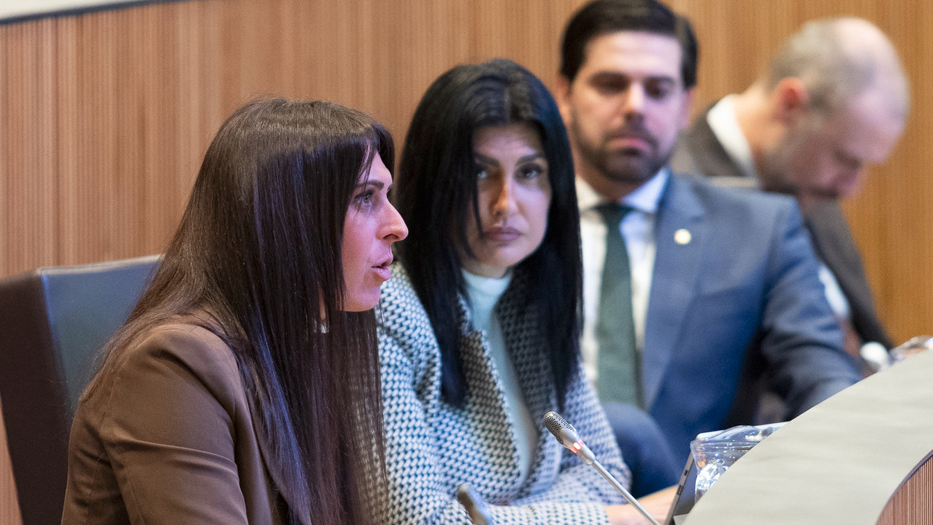 Consell General | Sergi Pérez