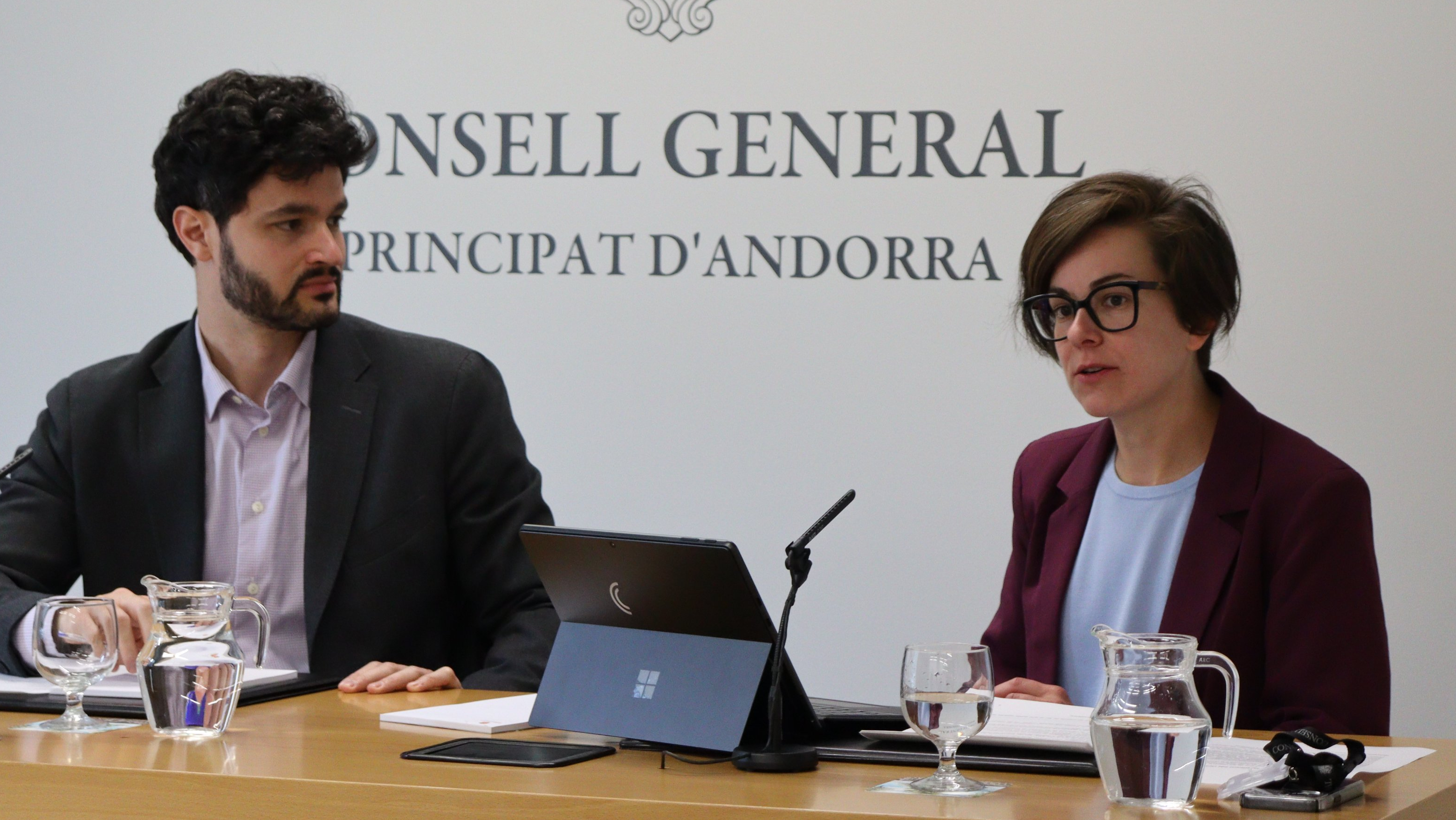 Consell General | Sergi Pérez