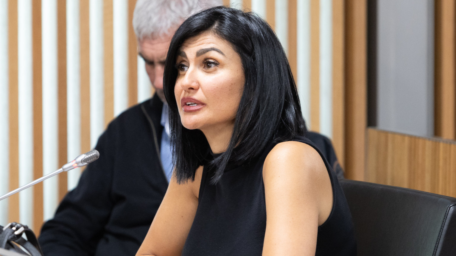 Consell General | Sergi Perez