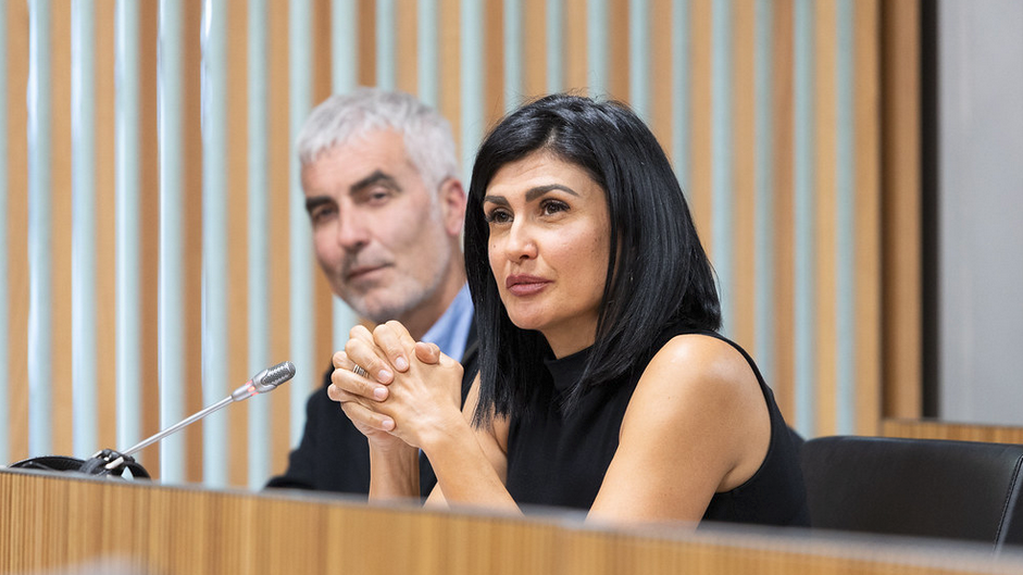 Consell General | Sergi Pérez