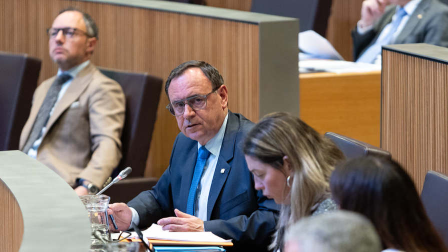 Sergi Pérez | Consell General