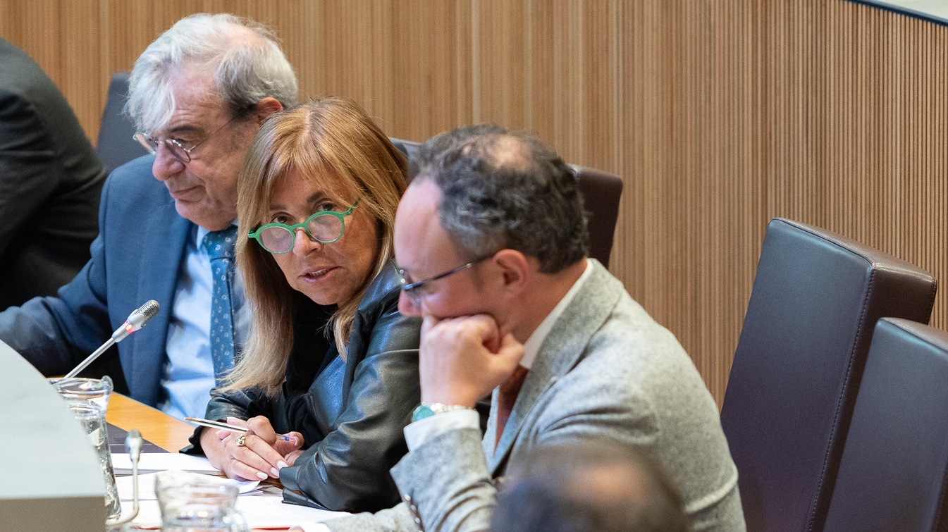 Consell General | Sergi Pérez
