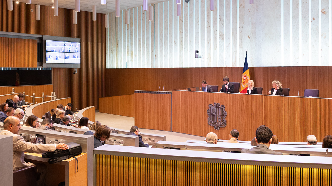 Sergi Pérez | Consell General