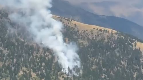 L'incendi forestal declarat aquest dimecres al pic de Salòria, a la zona d'Os de Civís