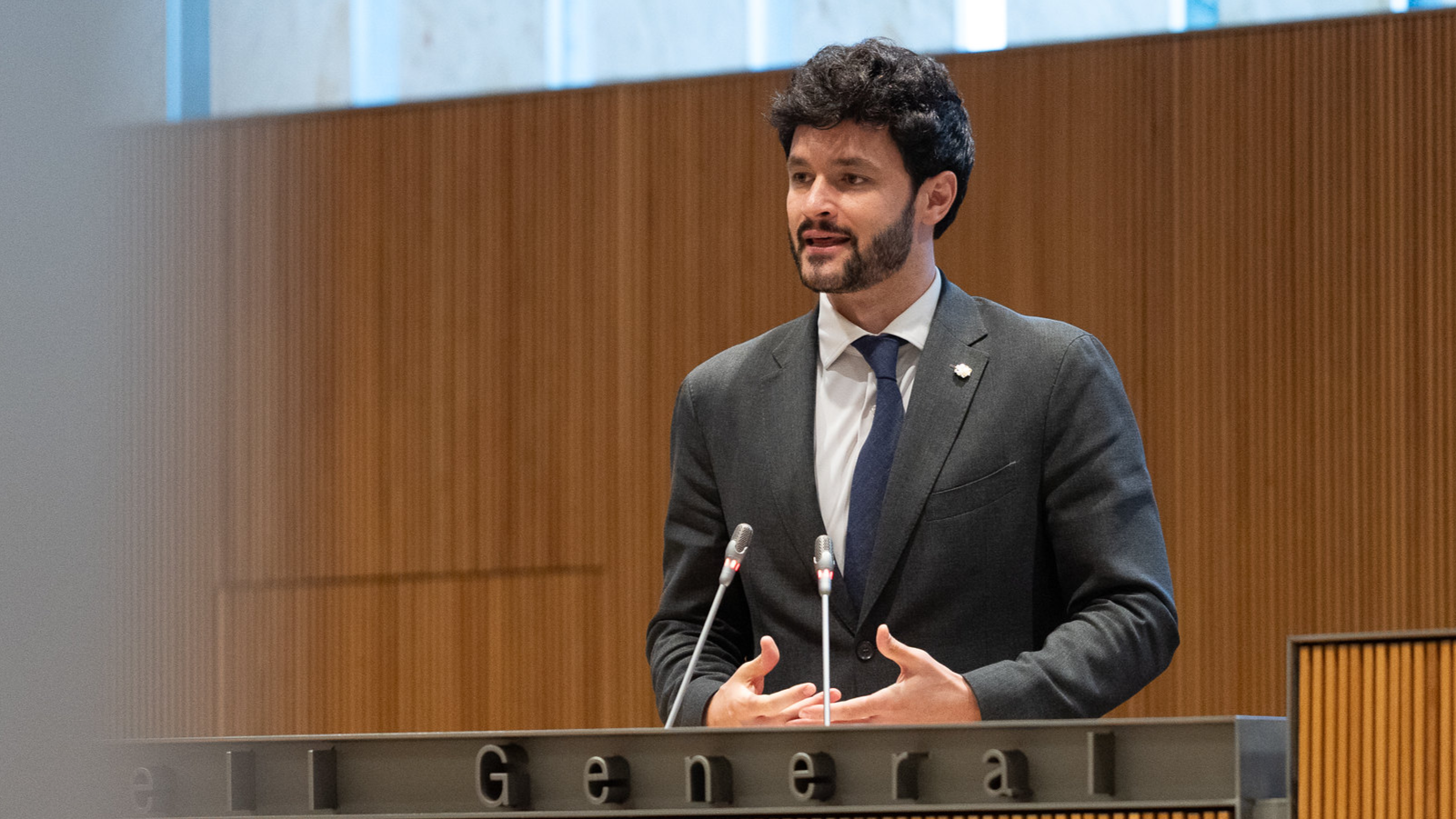 Sergi Pérez | Consell General