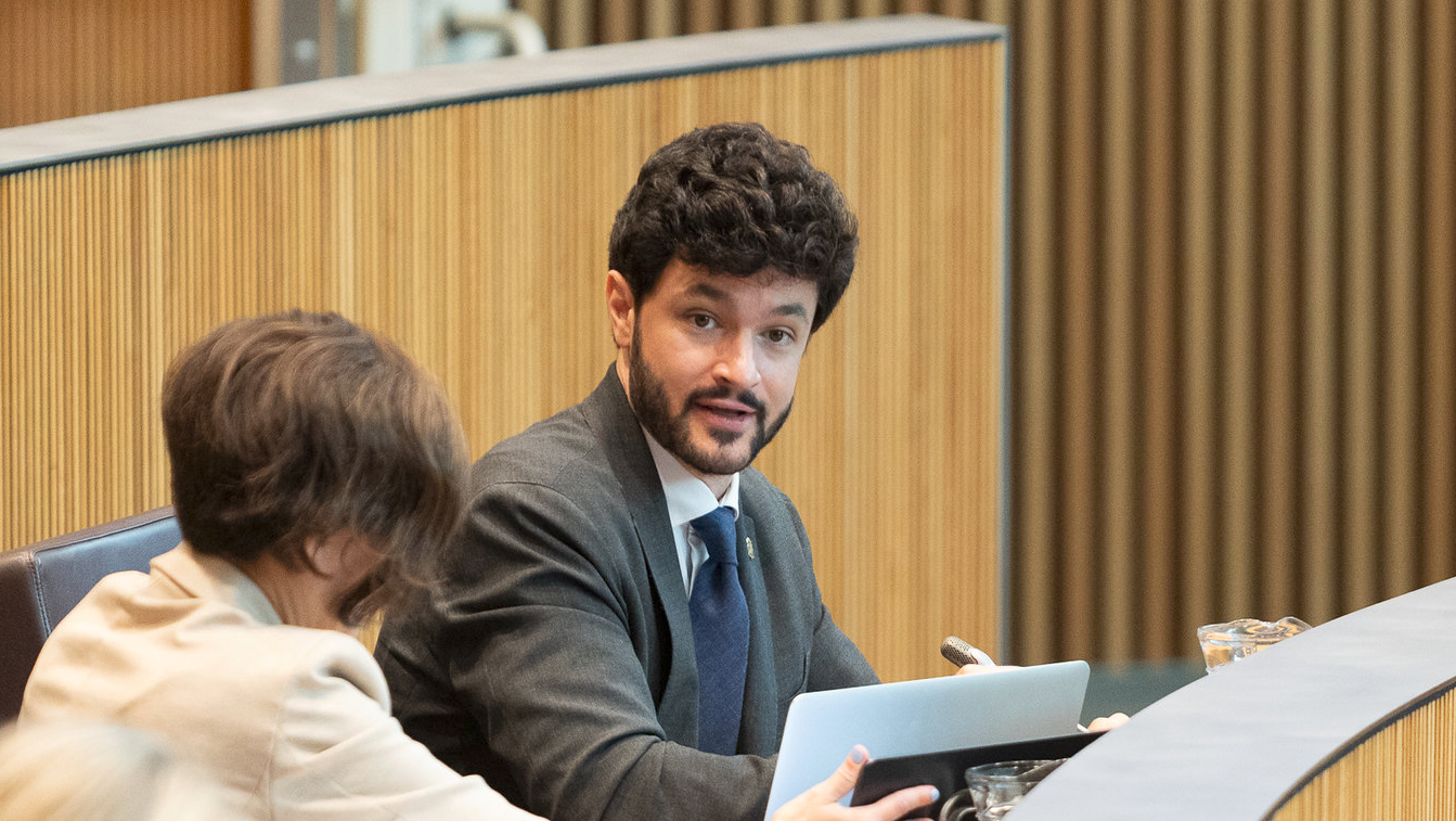 Sergi Pérez | Consell General