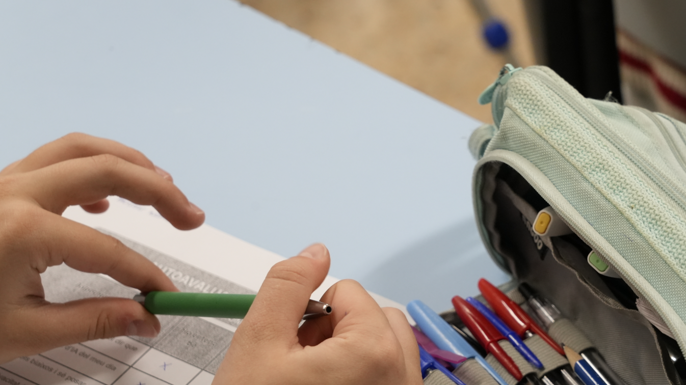 Educació confirma 14 casos d’assetjament escolar  