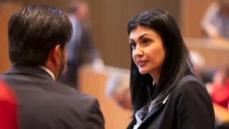 Andorra Endavant/Calsinaimages