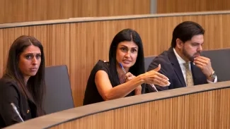 Andorra Endavant/Calsinaimages