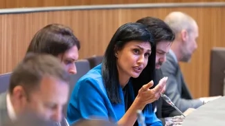 Sergi Pérez | Consell General