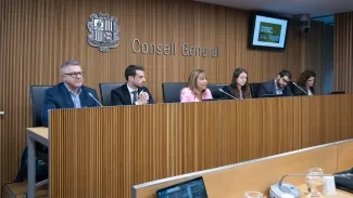 Sergi Pérez | Consell General