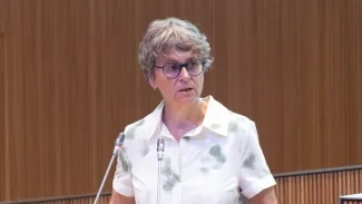 Sergi Pérez | Consell General/ Susanna Vela (PS)