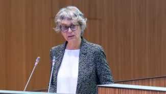 Sergi Pérez | Consell General/ La consellera (PS) Susanna Vela