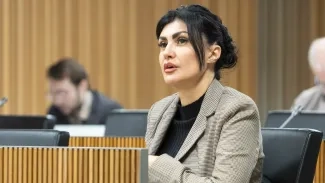 Consell General | Sergi Pérez