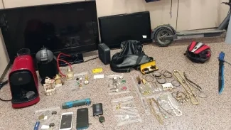 Mossos