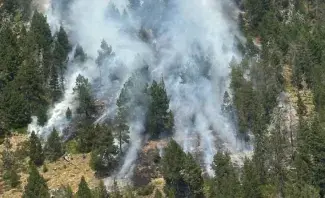 Incendi al pic de Salòria (Os de Civís)