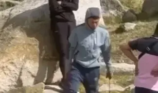 LVL