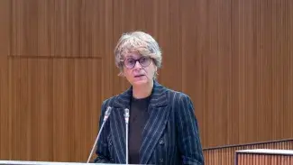 Consell General