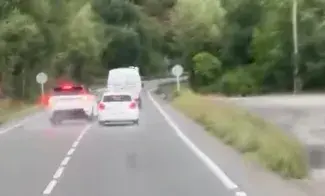 Mossos